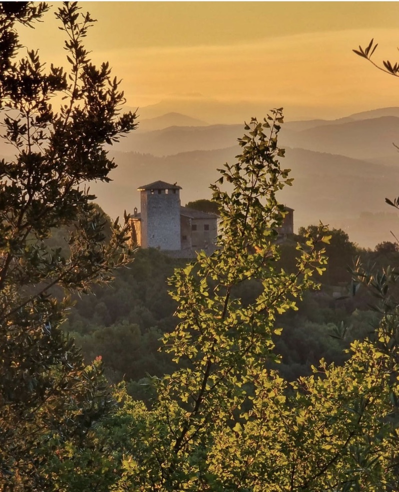 Olive branches in the foreground and a medieval stone tower on a wooded hill, with misty ridges fading into a golden sky
