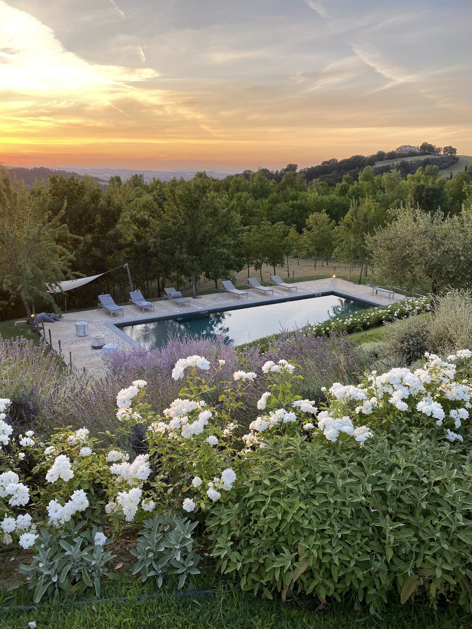Villa Sogno Farmhouse photo 4