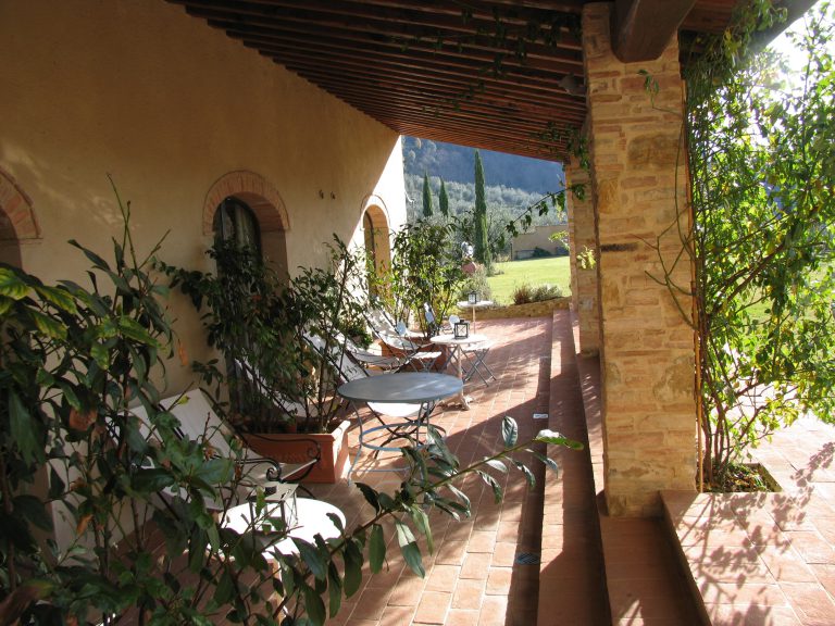 Rose terrace