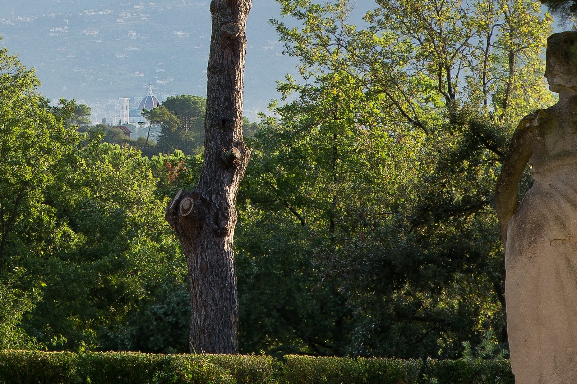 Villa Tavernaccia photo 8