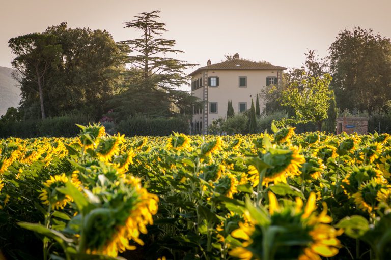 Villa ivana 7