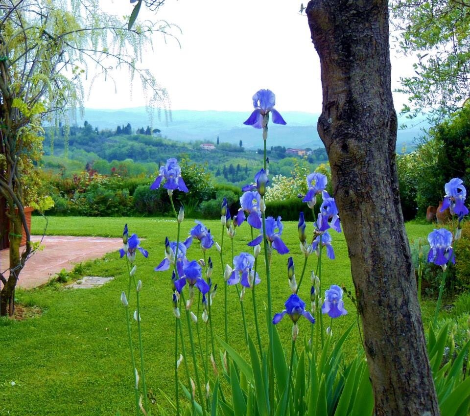 La Poggiolaia photo 10