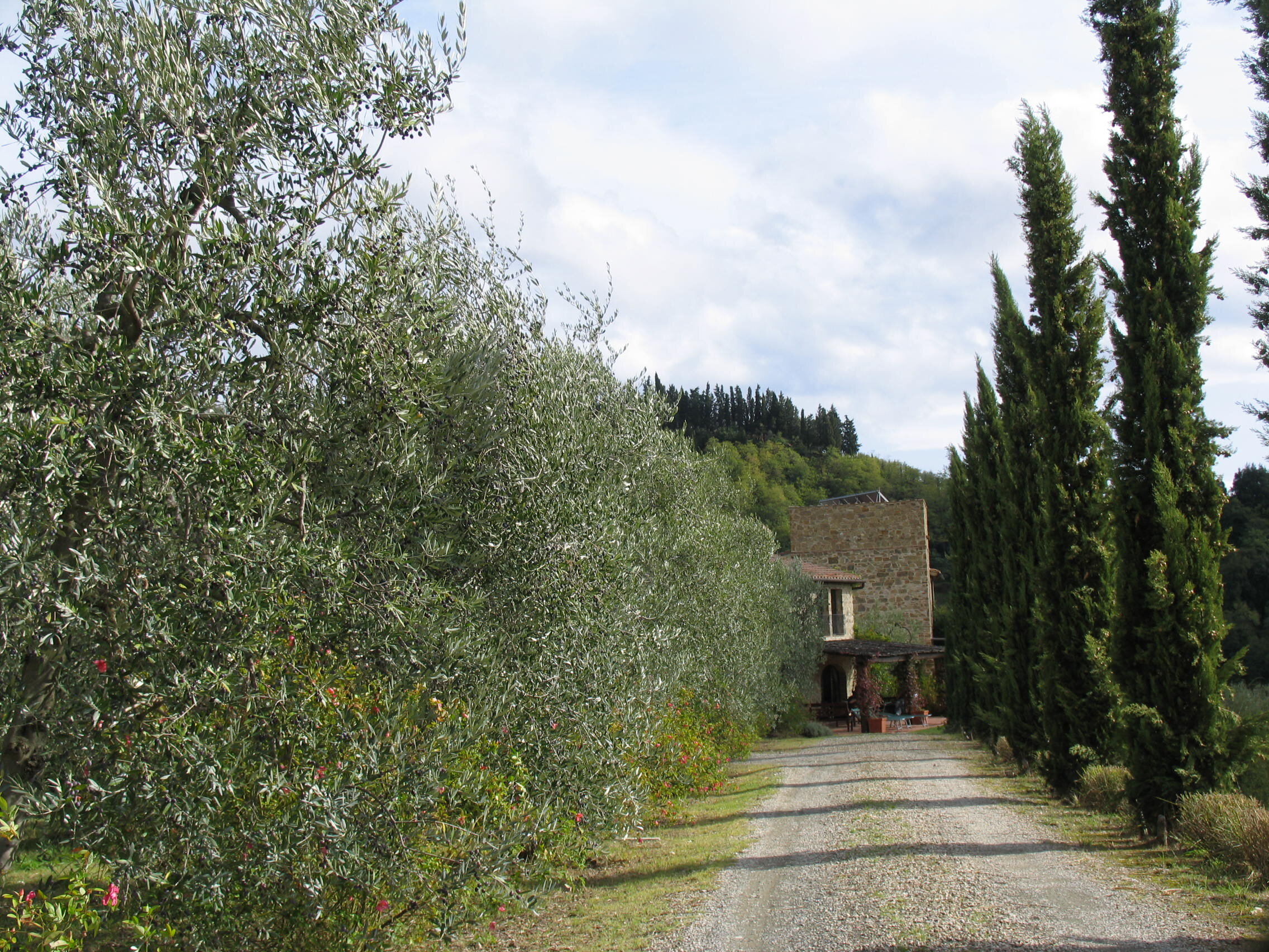 La Poggiolaia photo 12
