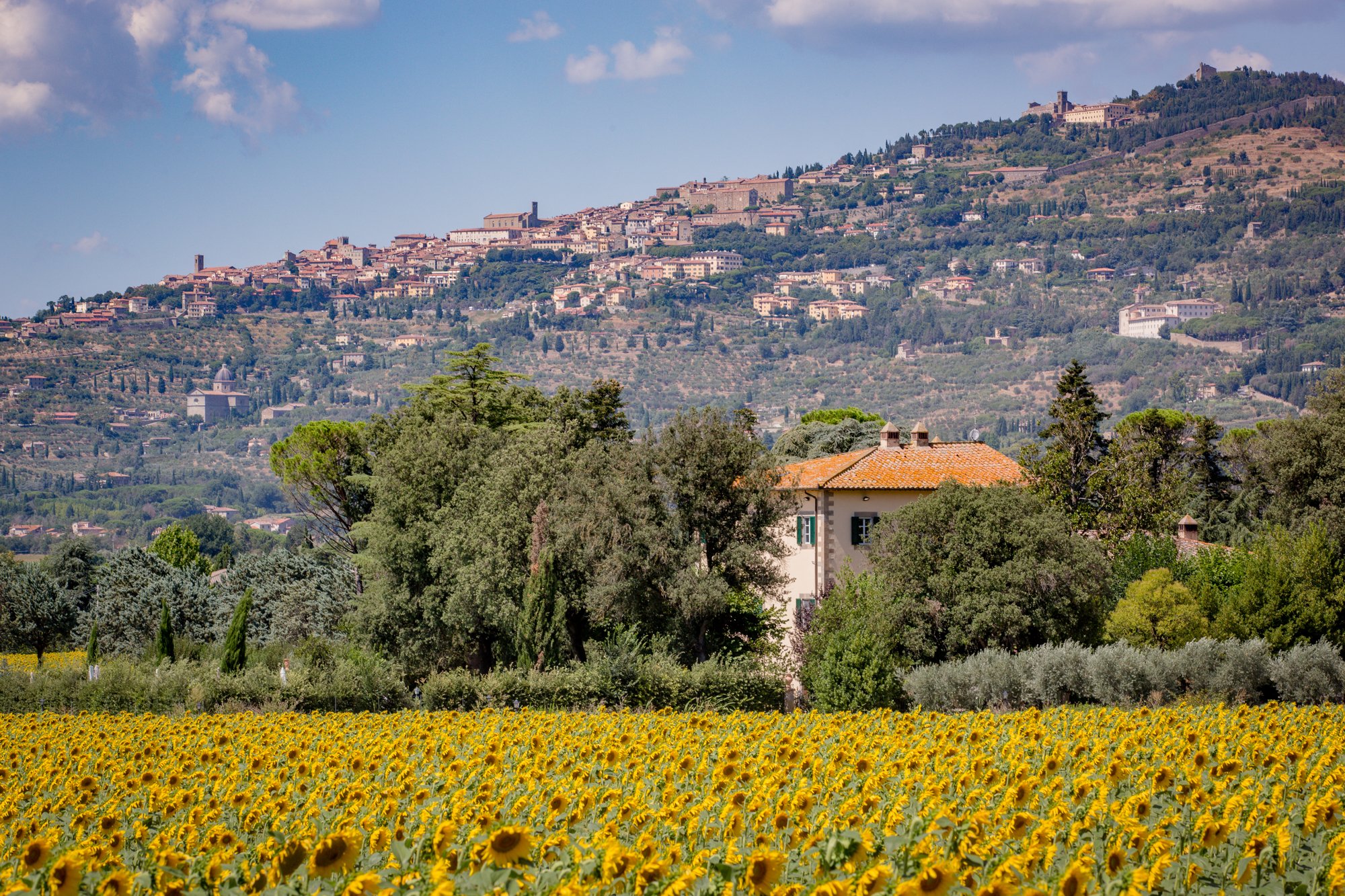 Villa Ivana photo 15