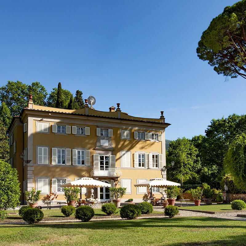 Coselli Estate photo 4