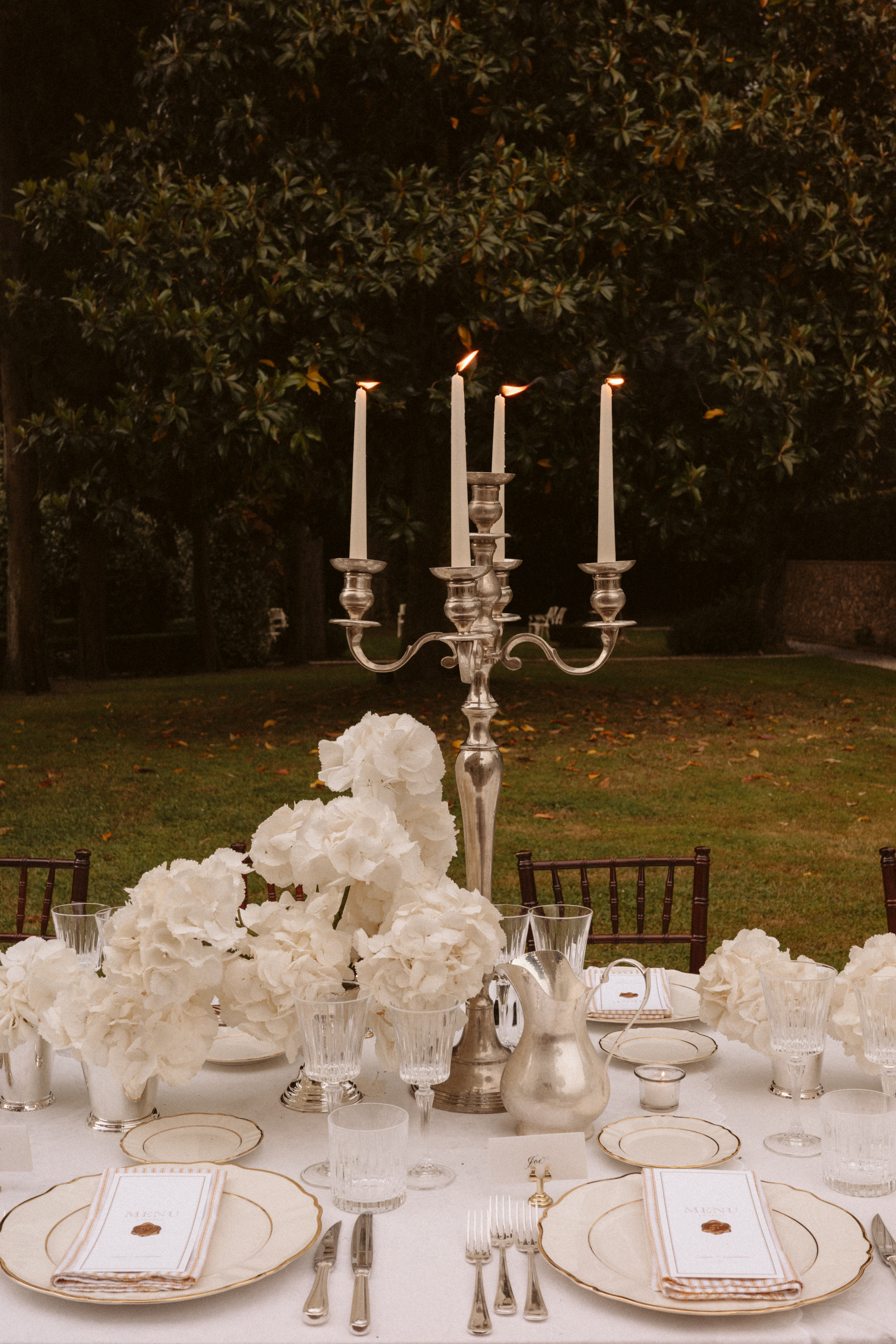 Coselli Estate photo 21