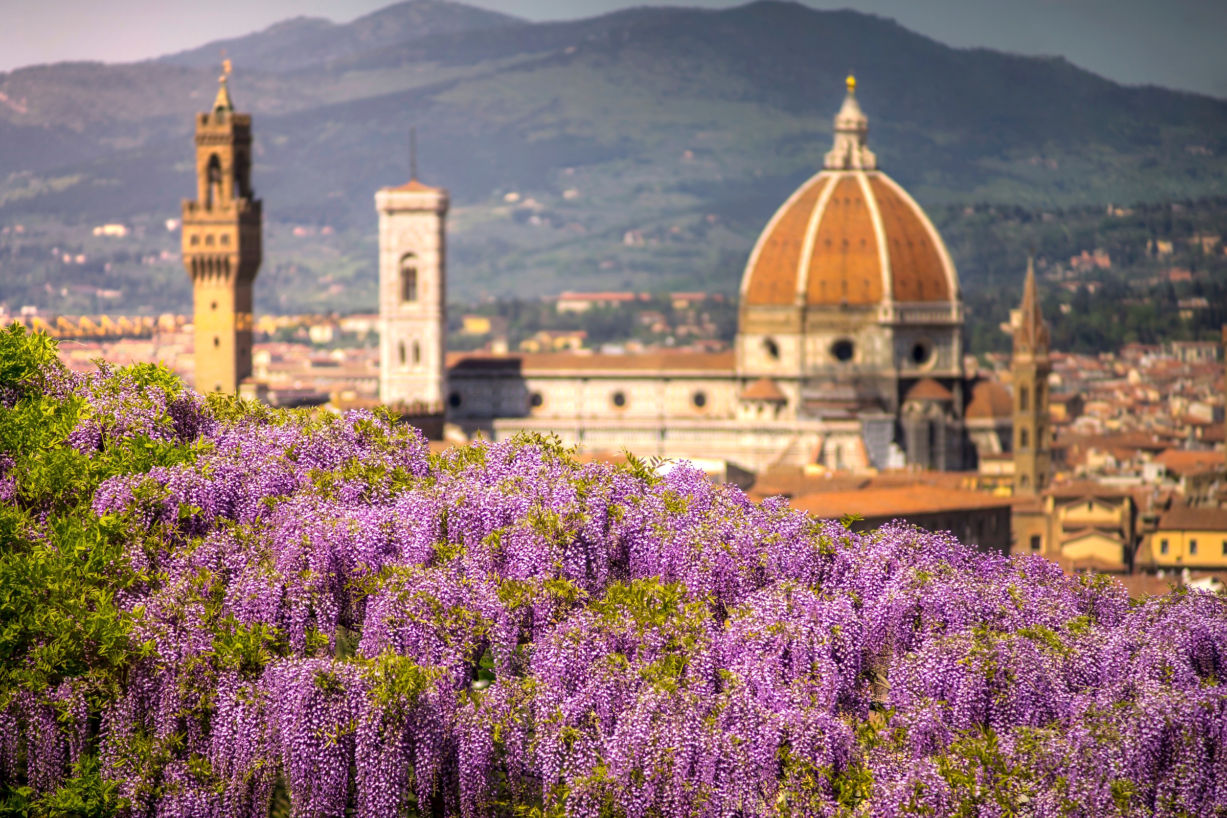 Florence City Tour