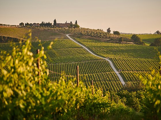 Florence In a Day Tour with Uffizi and Accademia Galleries