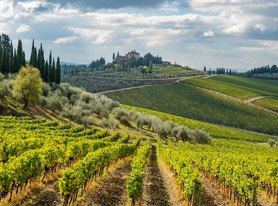 Florence in a Half-Day Tour with Michelangelo's David