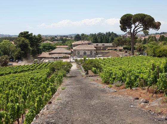 Agrigento & the Valley of the Temples