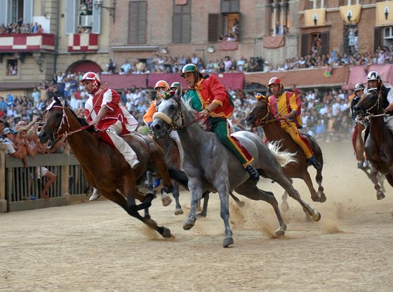 Full-Day San Gimignano and Volterra Day Trip from Siena