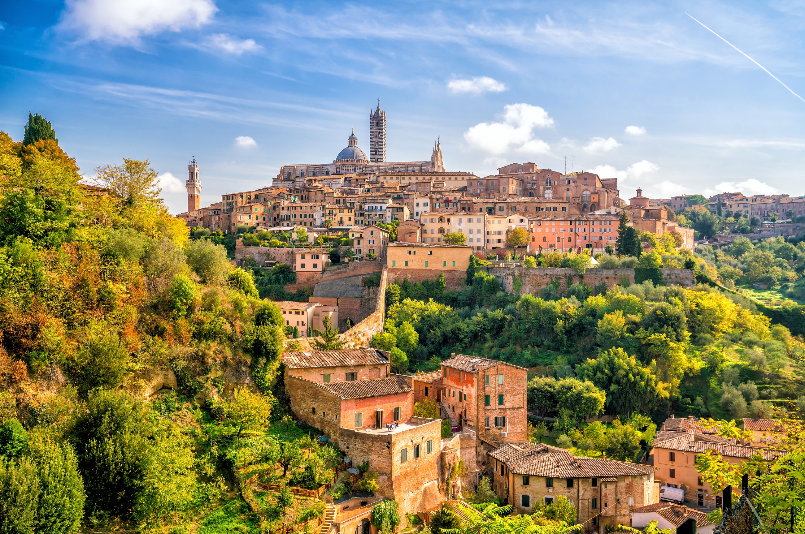 Introduction to Siena Tour with the Duomo
