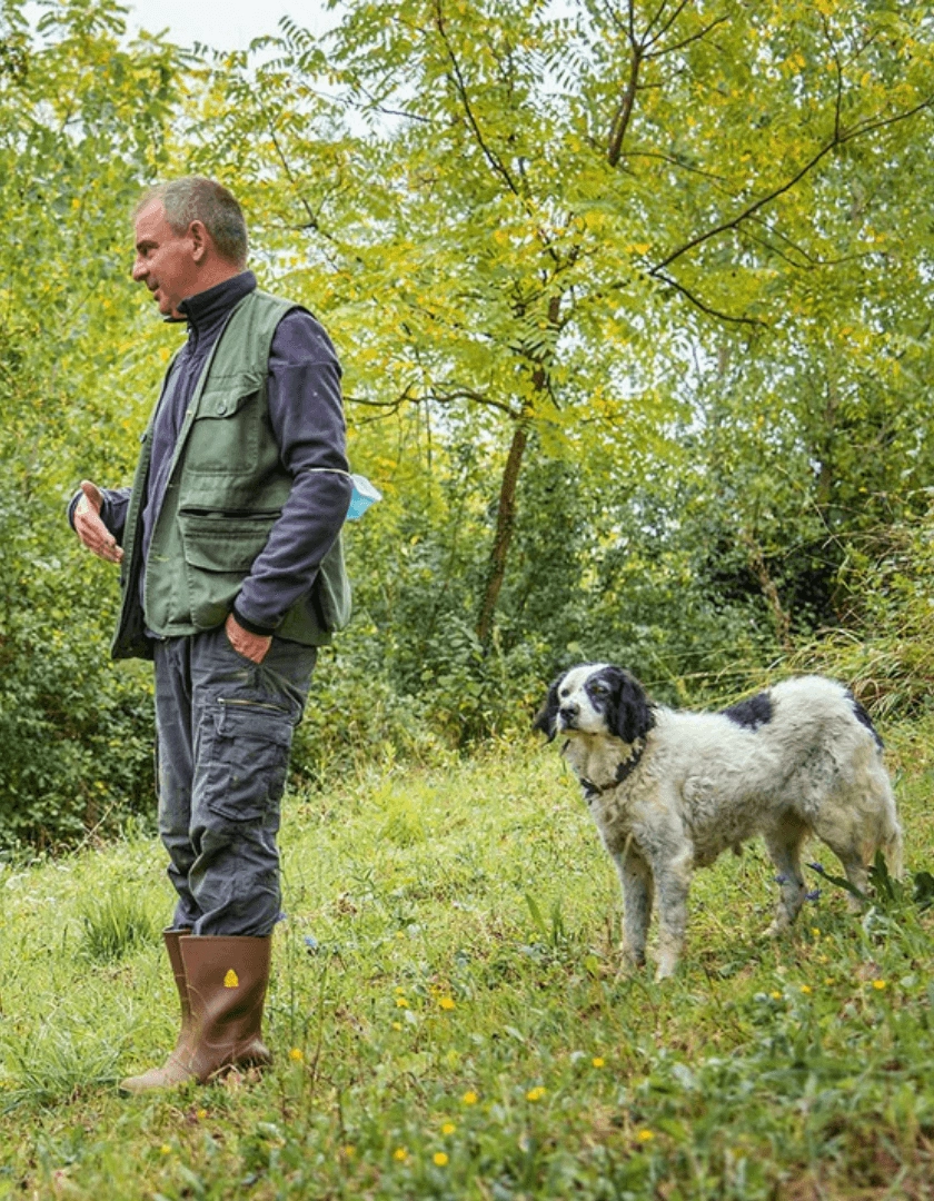 A Tuscan truffle hunter and his dog at work in the woods