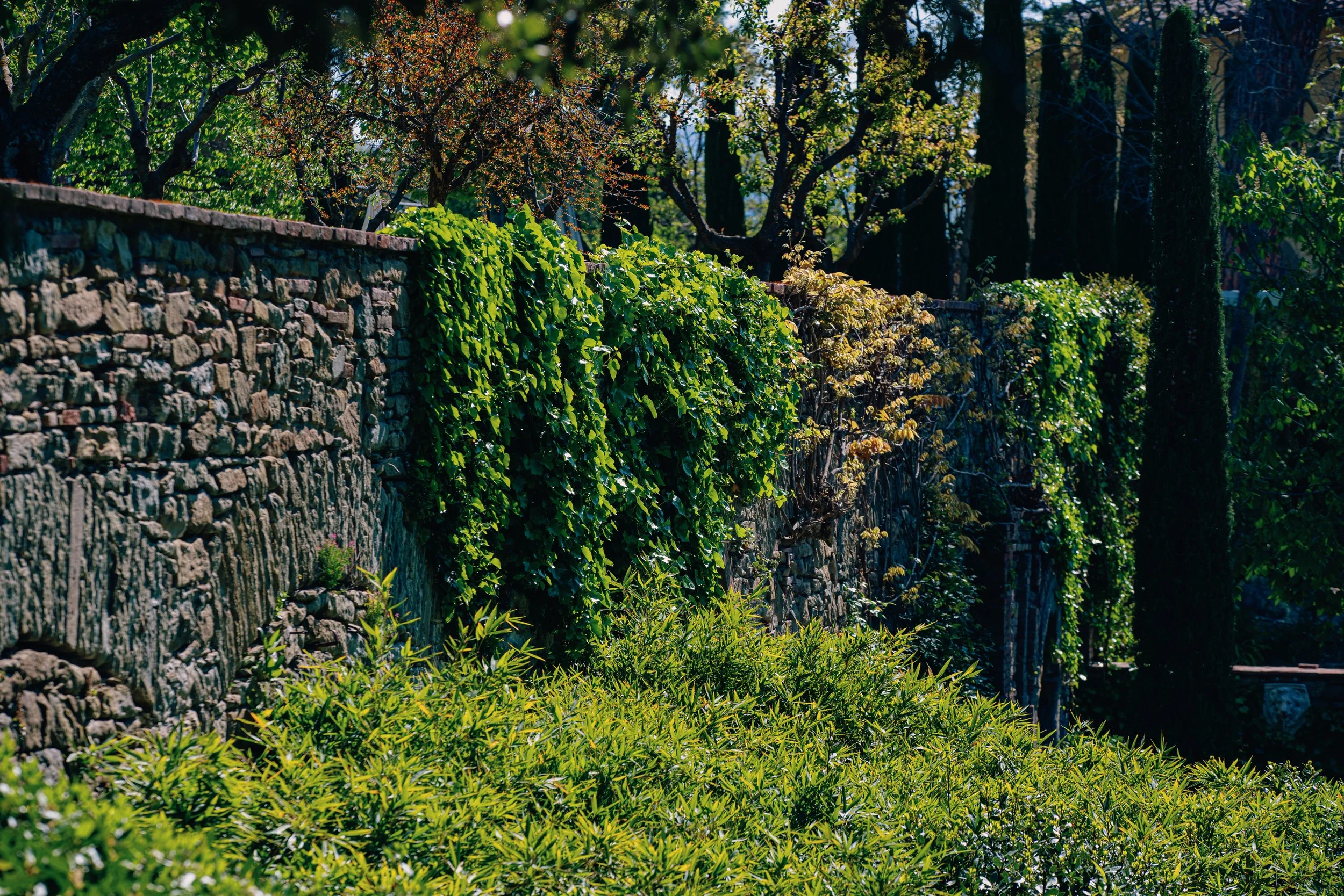 Villa Laura photo 3