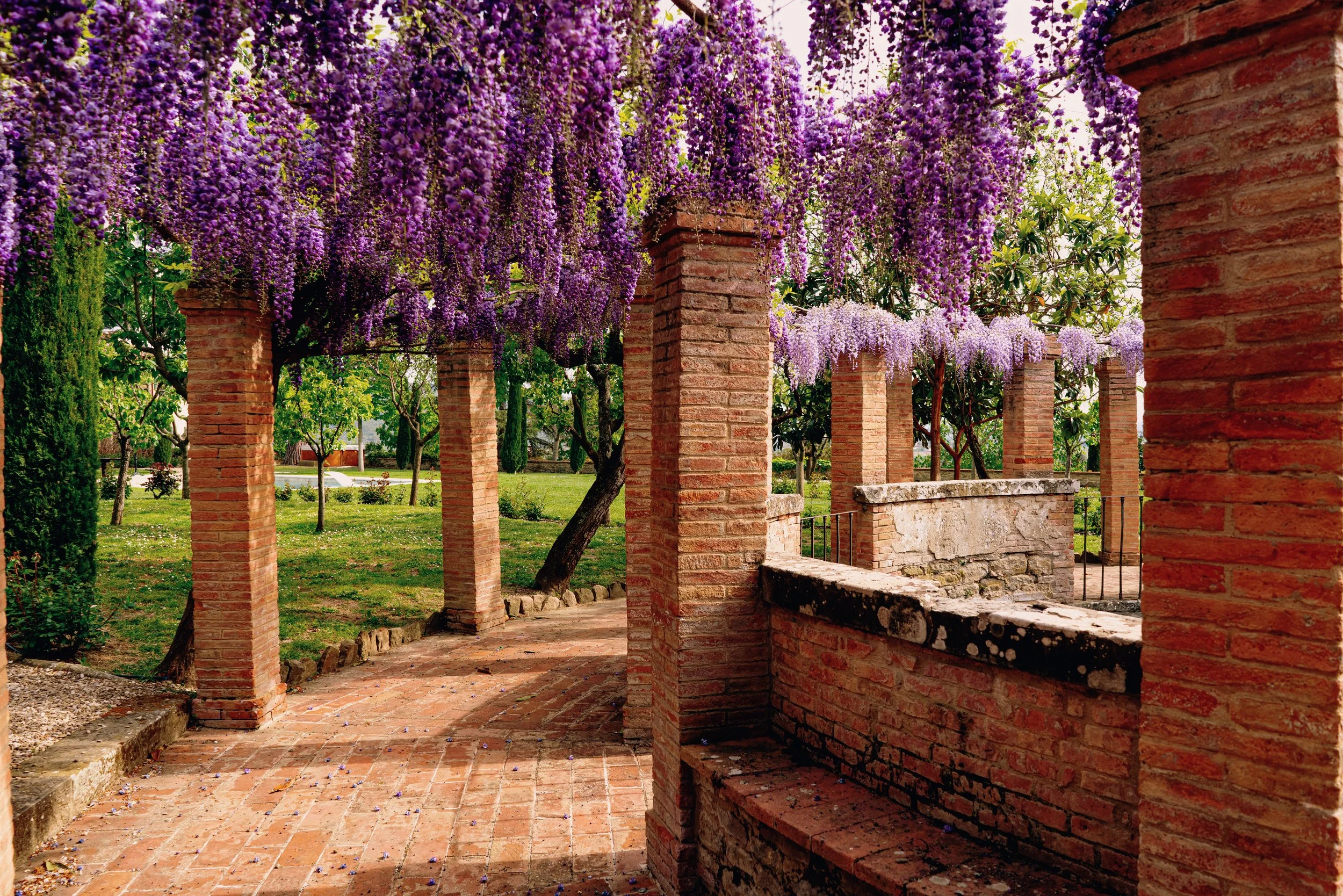 Villa Laura photo 8