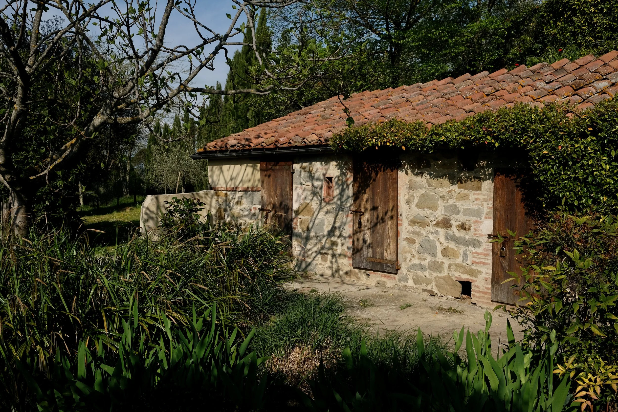 Villa Laura photo 10