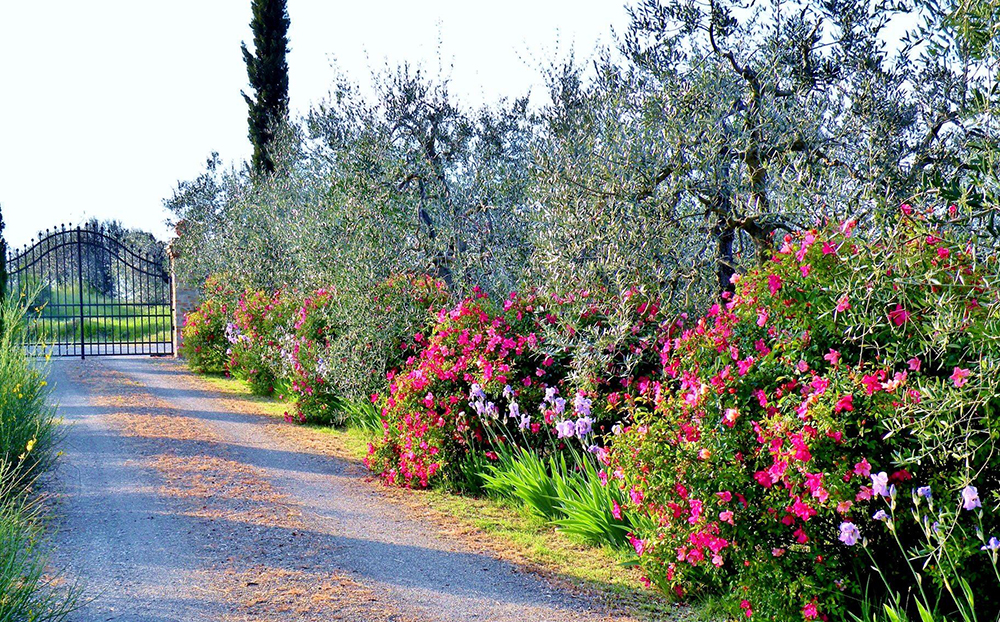 La Poggiolaia — Capanna photo 10