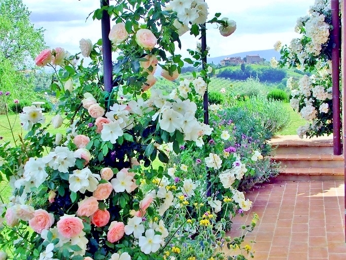 La Poggiolaia — Roseto photo 4