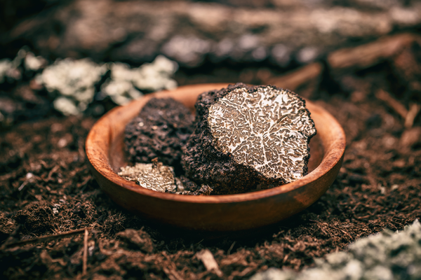 black-truffle-mushroom-PDAELLT.png