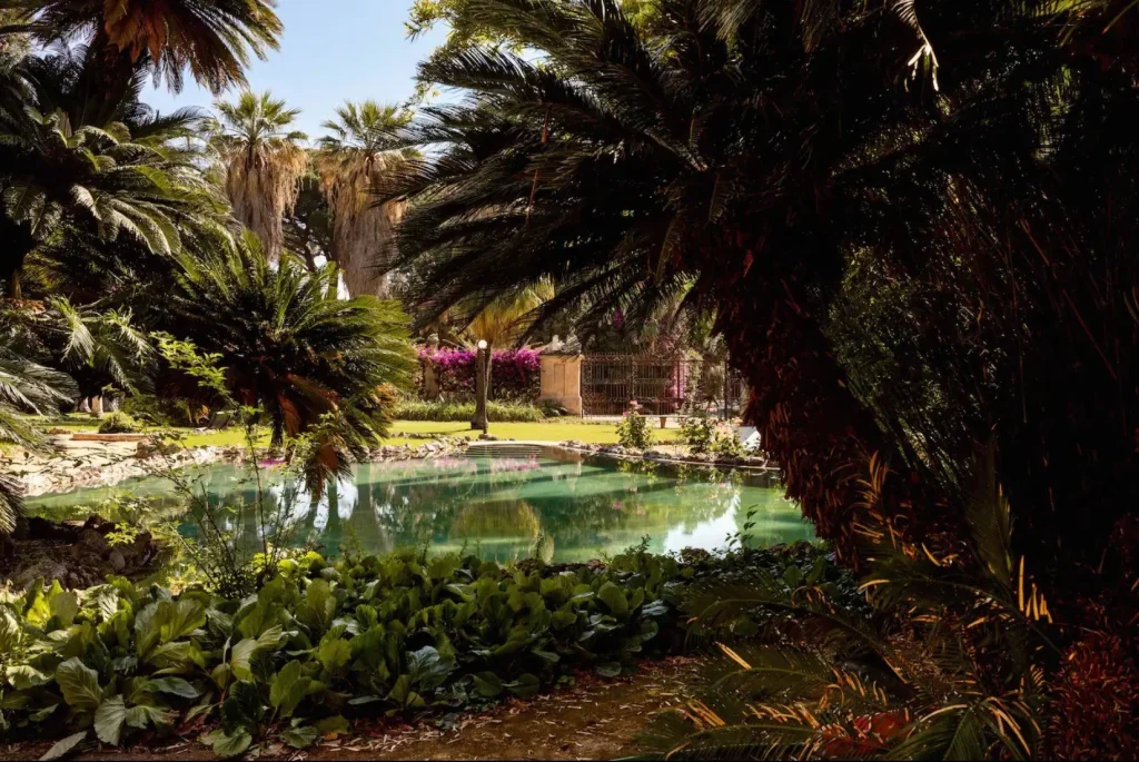 villa tasca palm tree and roses.jpg