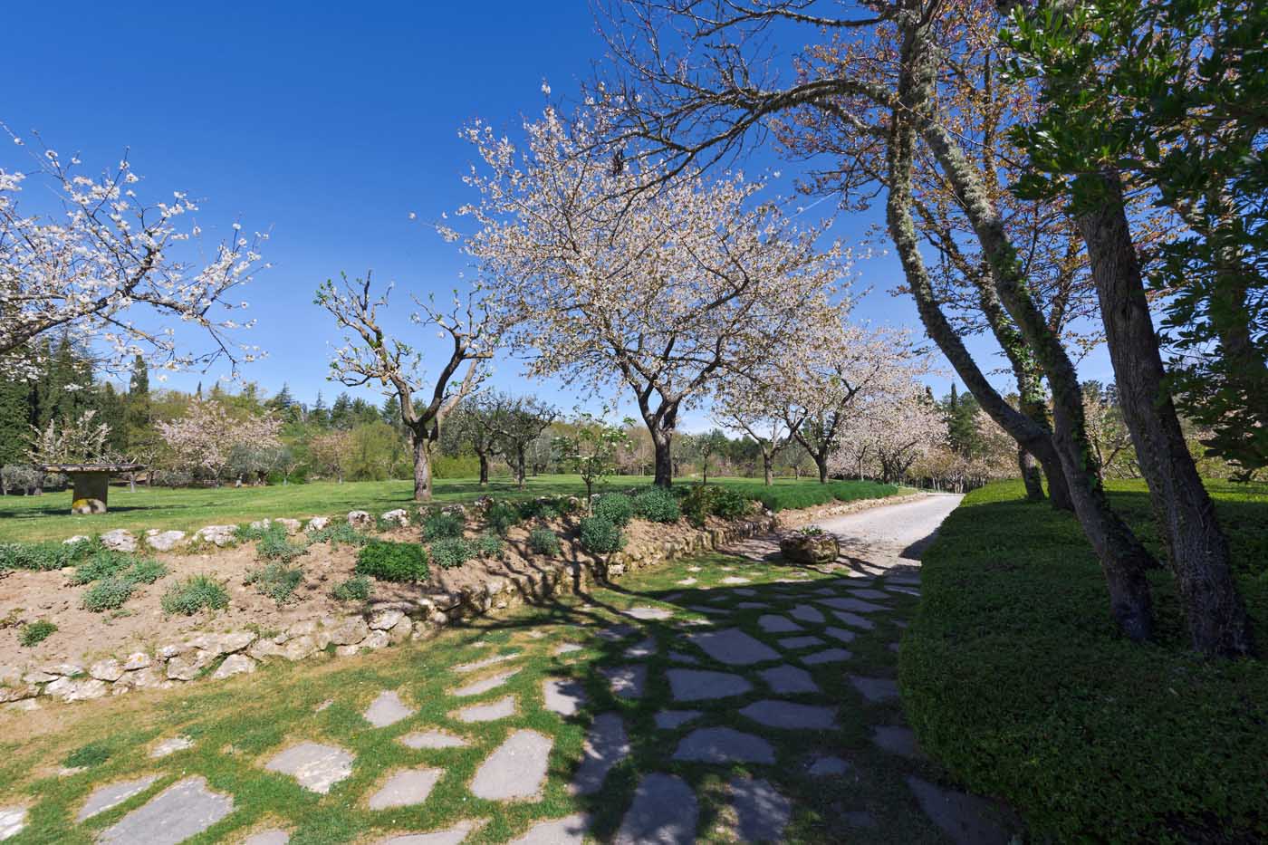 Villa Aiola photo 7