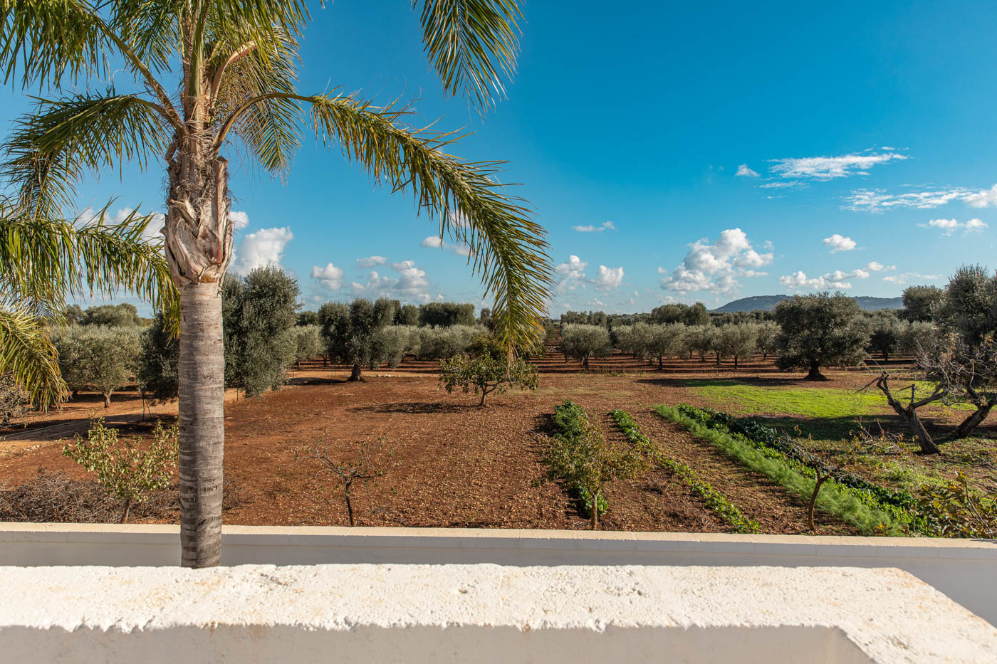 Villa Brillalta photo 6