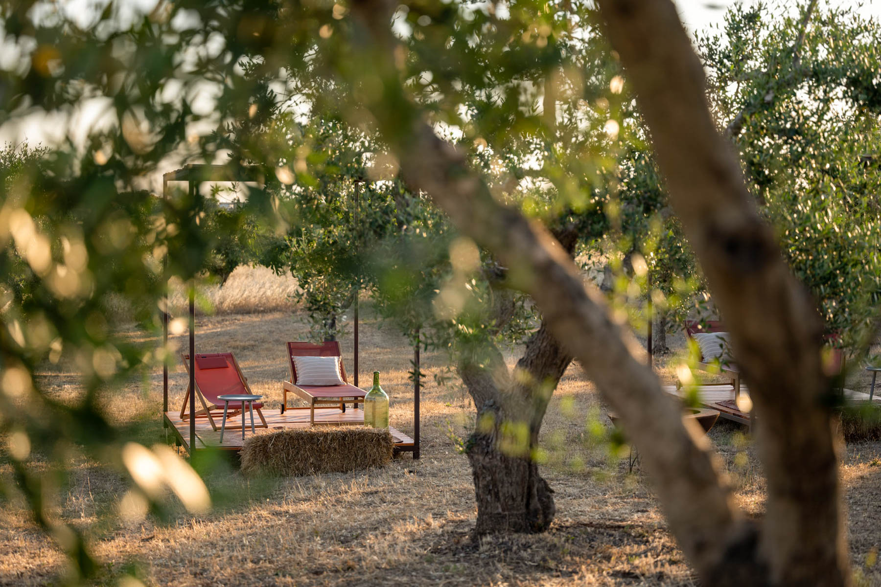 Villa Coki photo 3