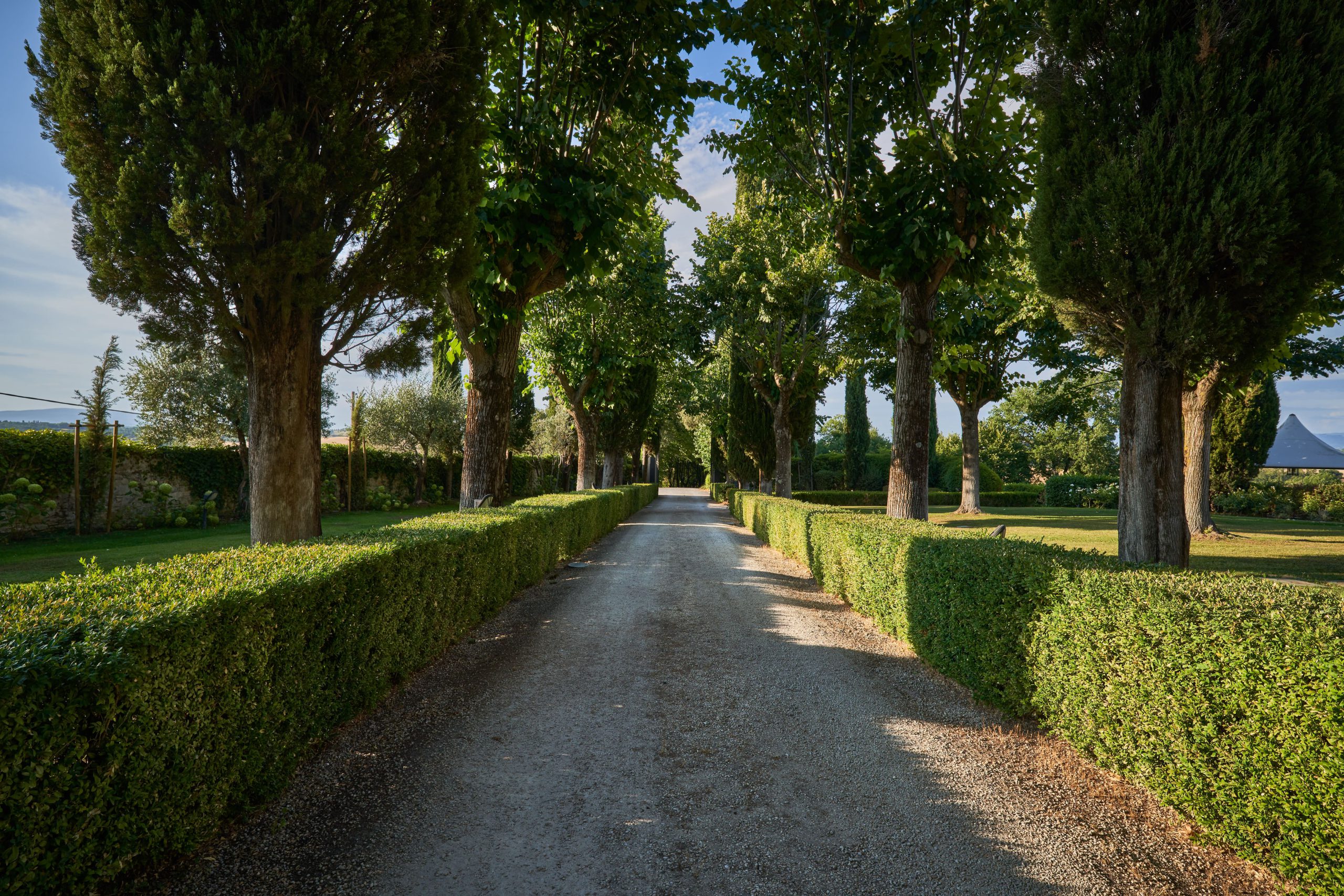 Villa Collina photo 8