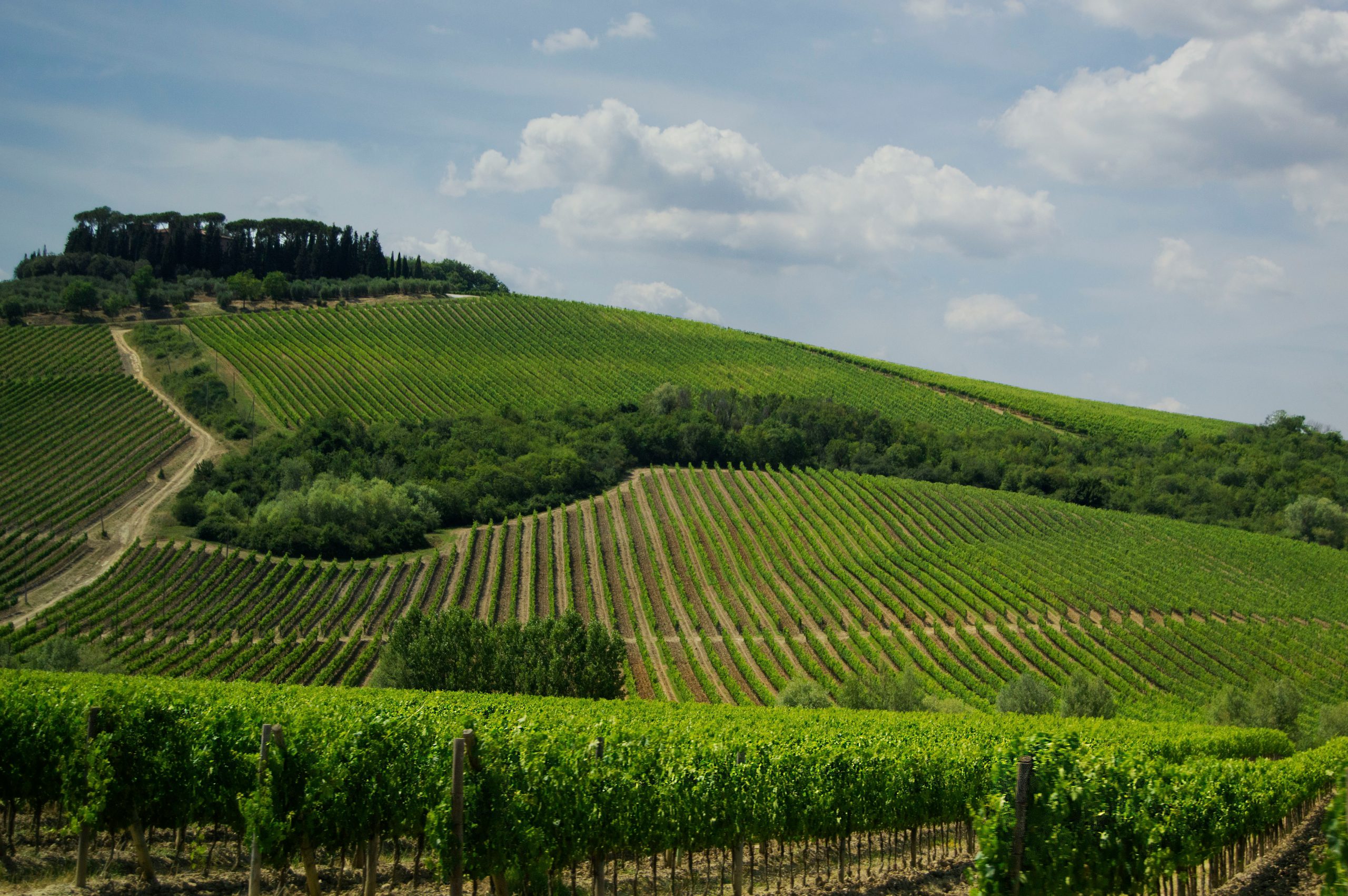 Villa Collina photo 40