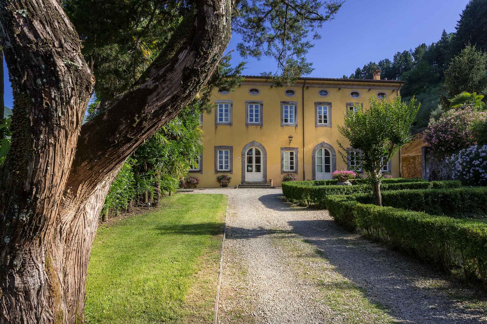 Villa Controni photo 23