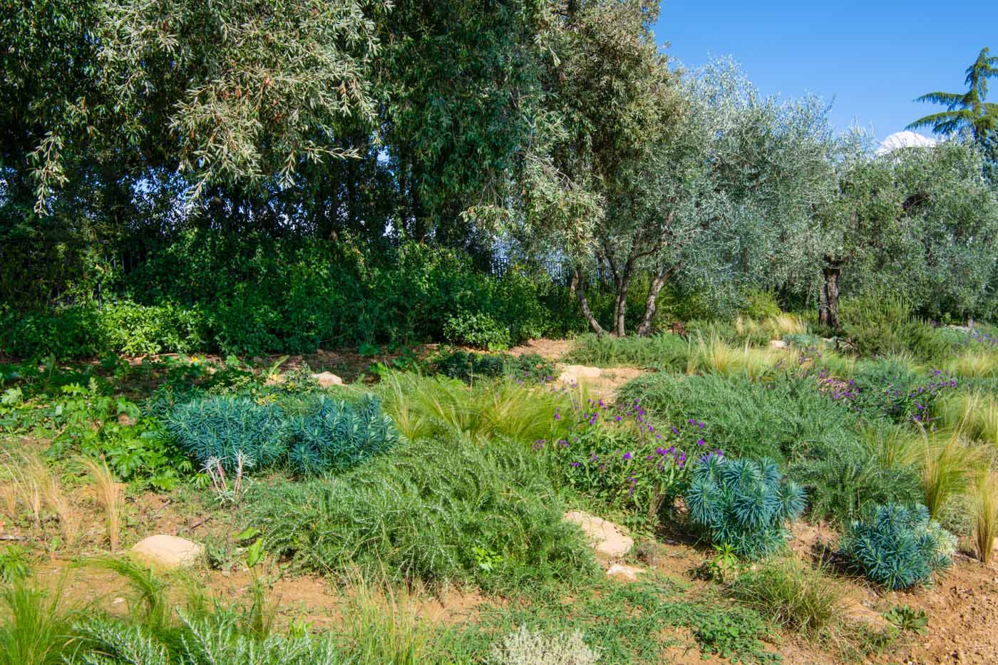 Villa Hortus photo 2