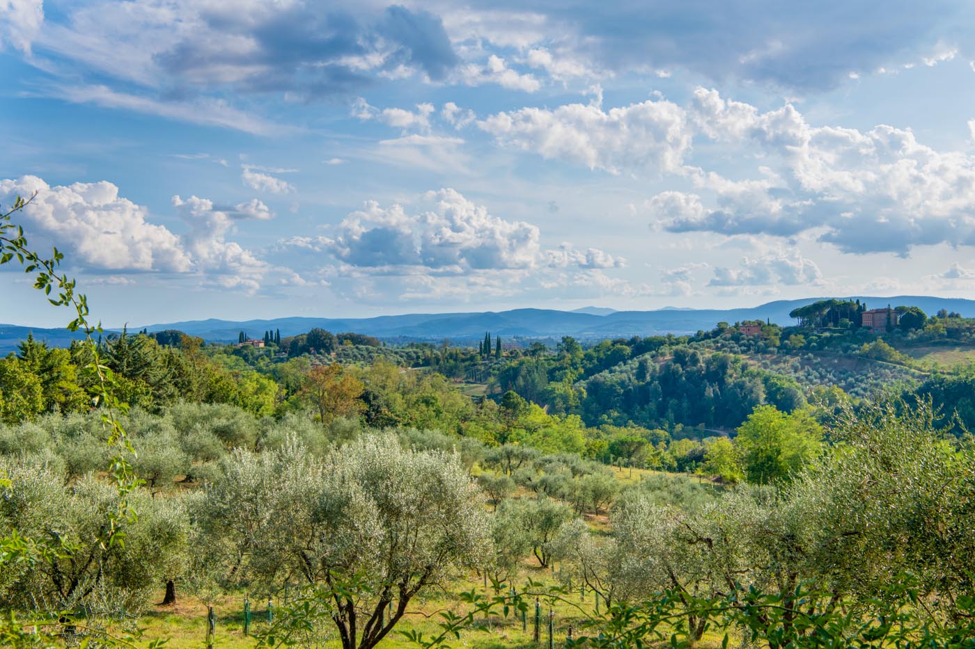 Villa Hortus photo 36