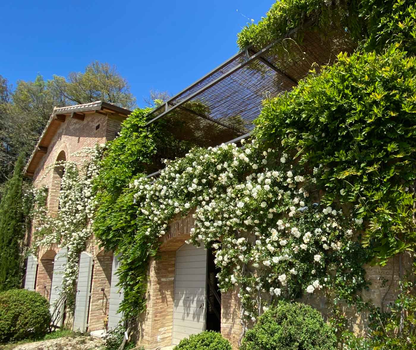 Villa Hortus photo 45