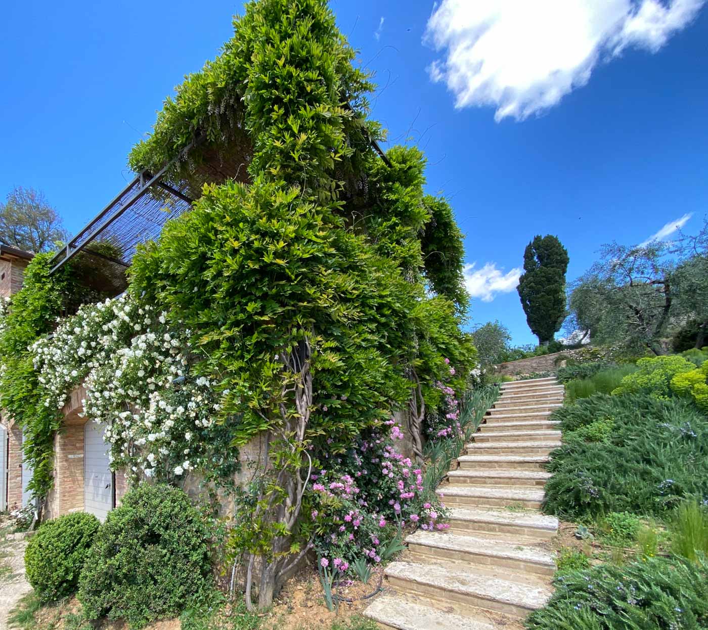 Villa Hortus photo 46
