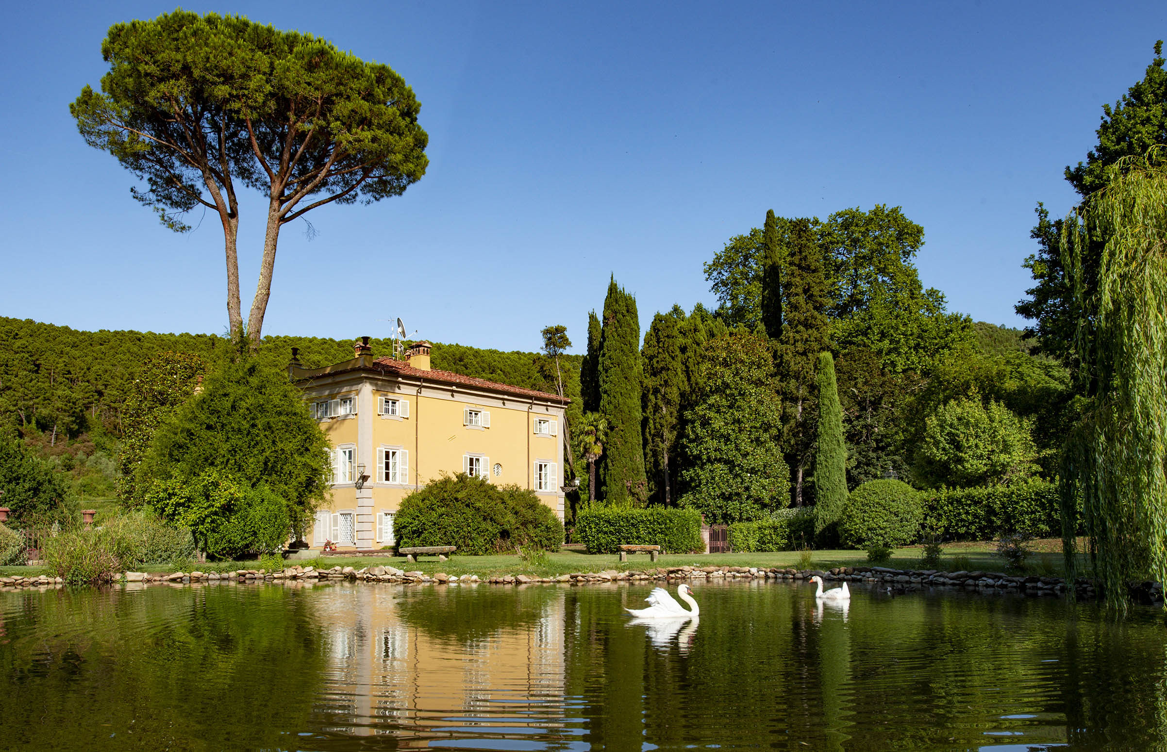 Villa Lenka photo 2