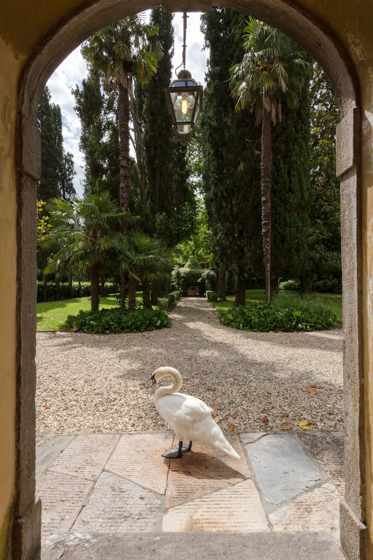 Villa Lenka photo 41
