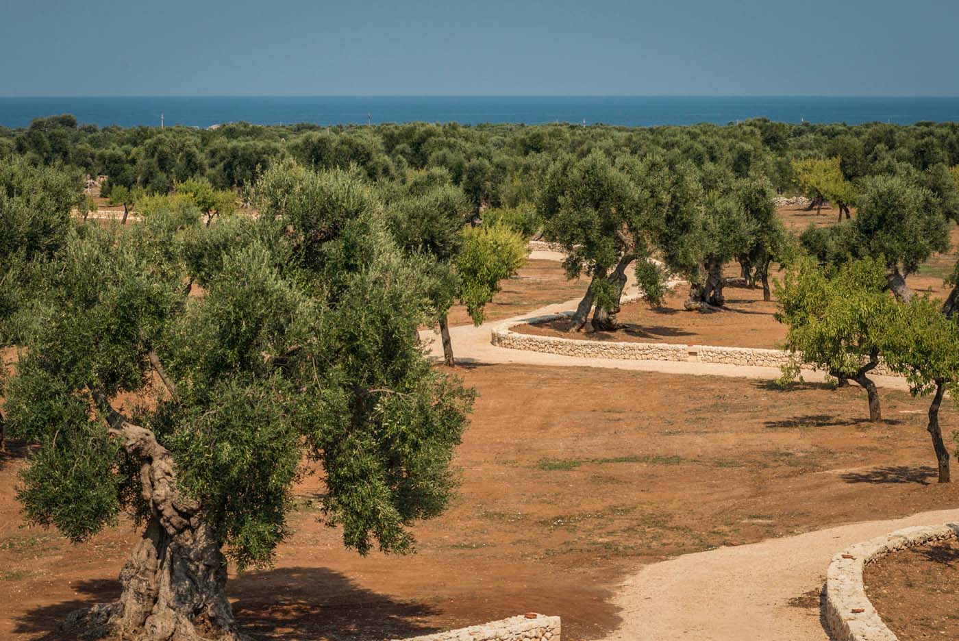 Villa Leonda photo 3
