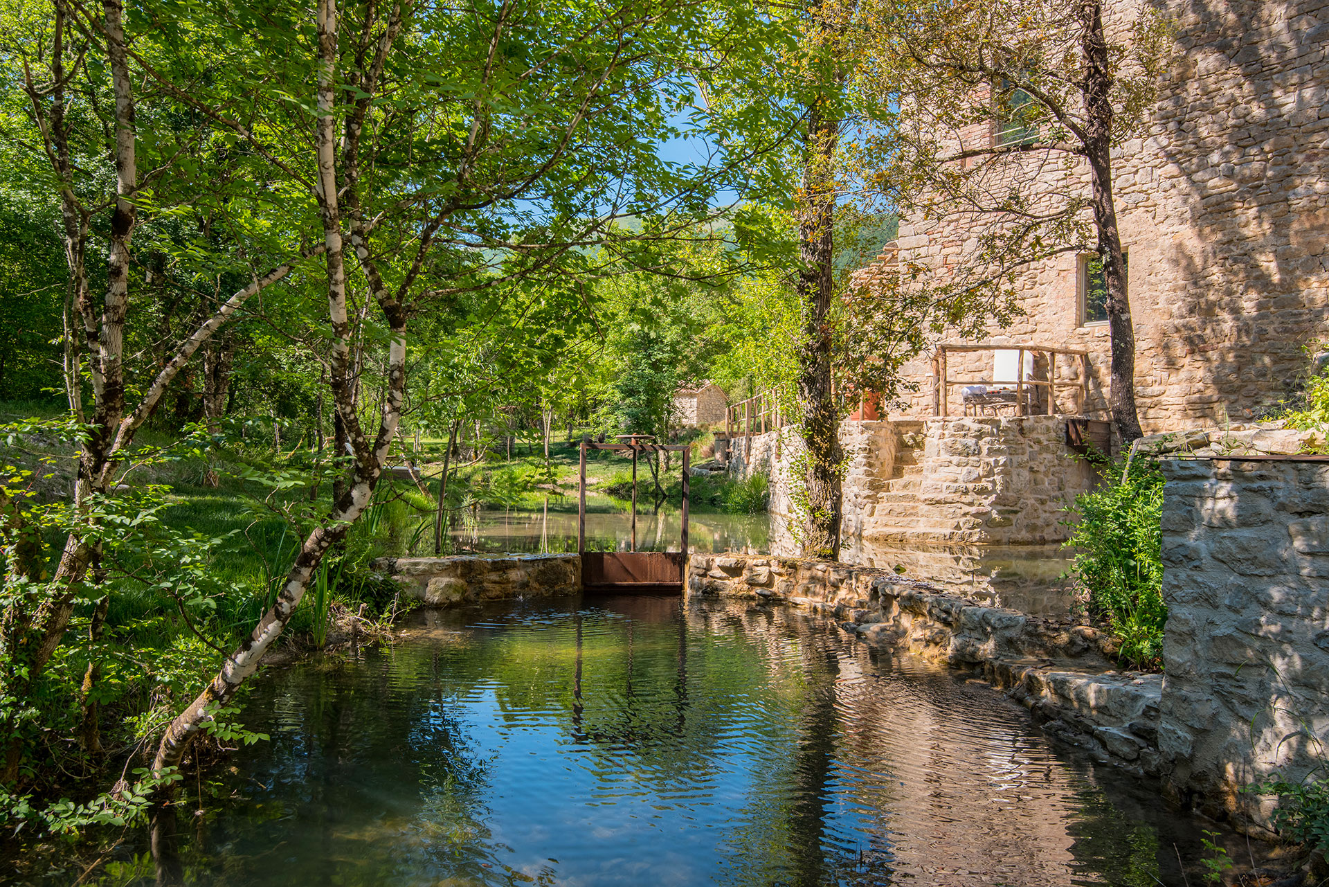 Villa Molinella photo 8