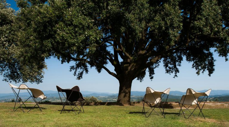 Villa Tavernaccia — Deck chairs under the oak