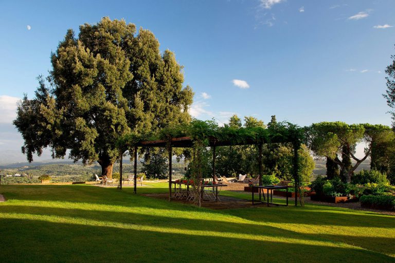 Villa Tavernaccia — The great oak and pergola