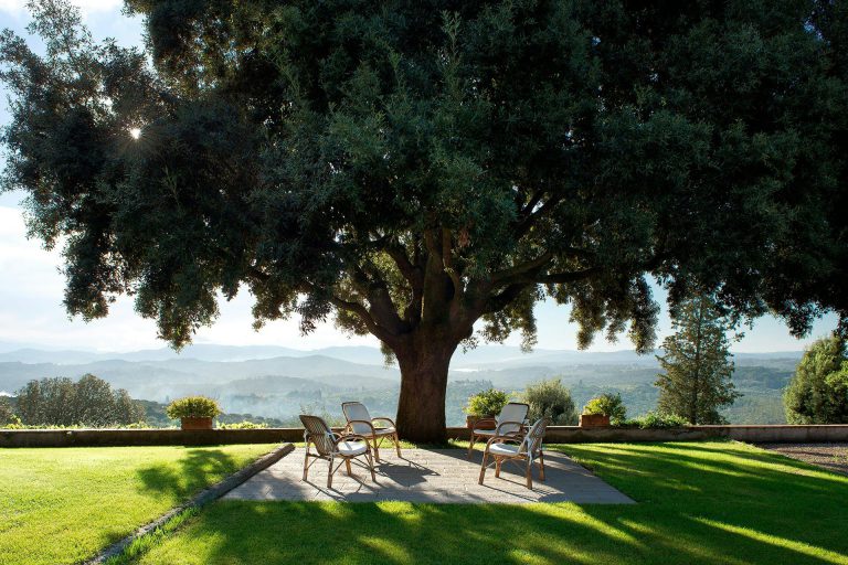Villa Tavernaccia — Seating under the oak