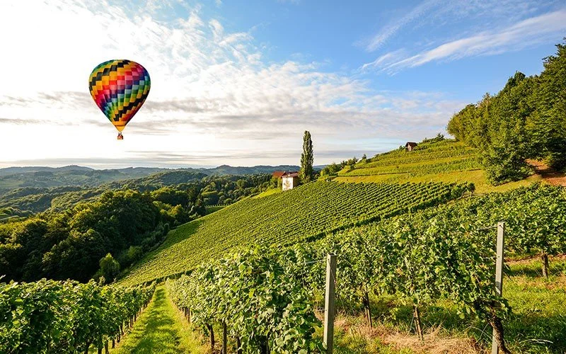 hot air balloon flying over the vineyards of Italy