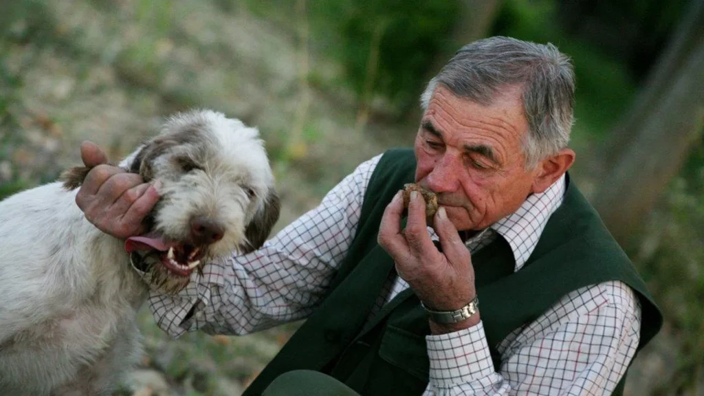man with truffle and dog