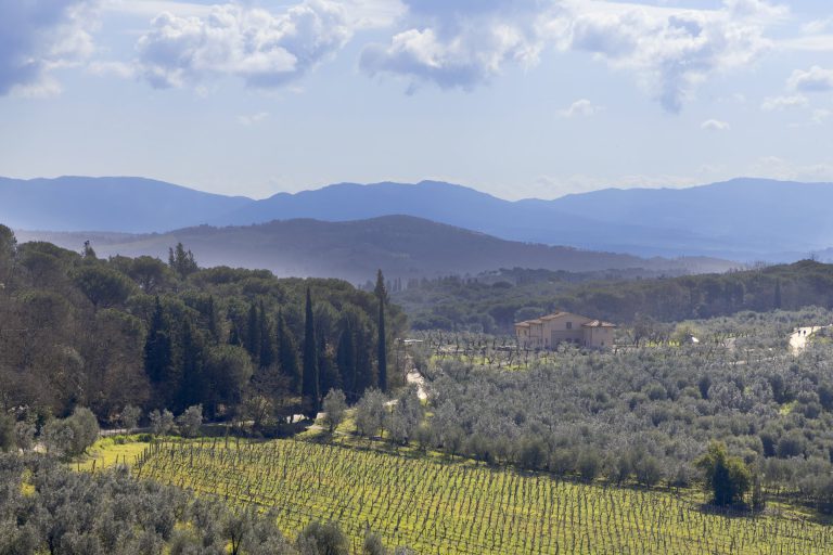 Casa Bachicche — View over Chianti vineyards and olive groves