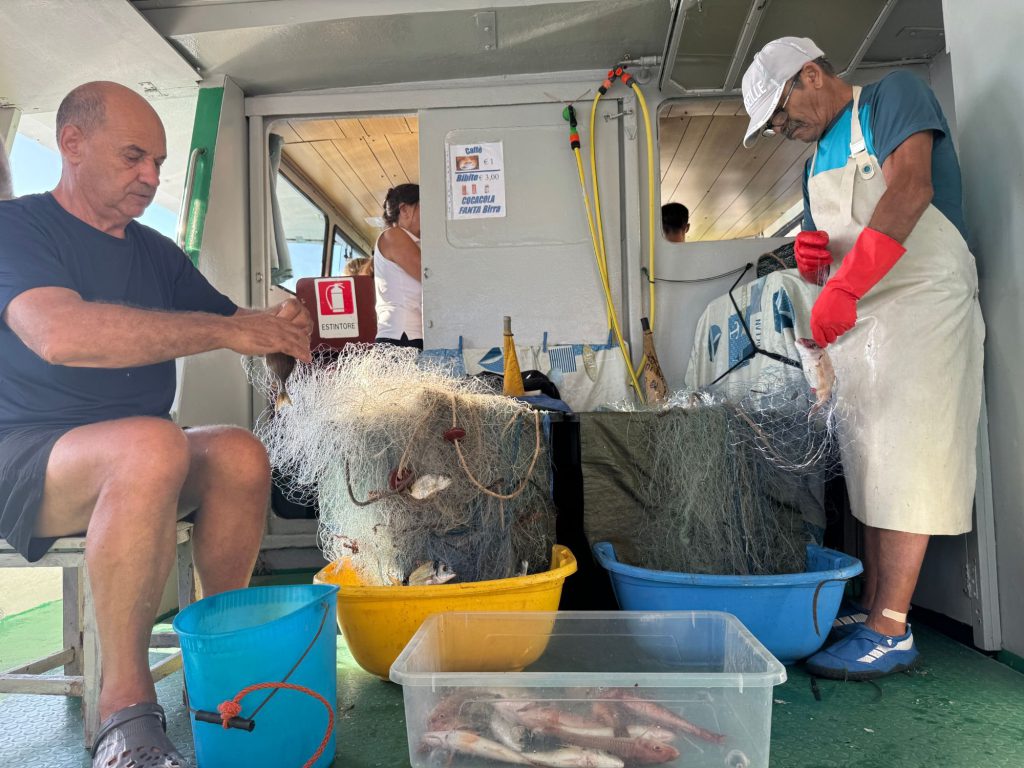 Local fishermen sorting the morning catch on board, Sardinia