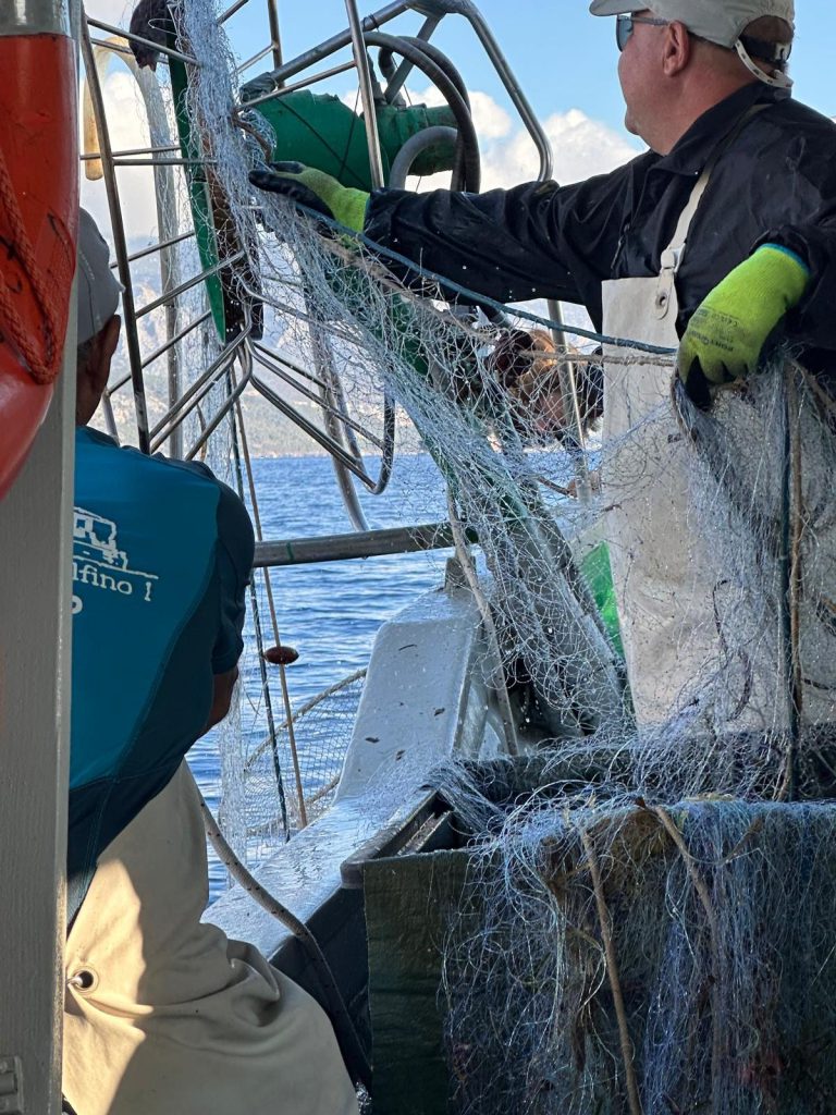 Hauling in the nets on a fishing trip with local fishermen in Sardinia