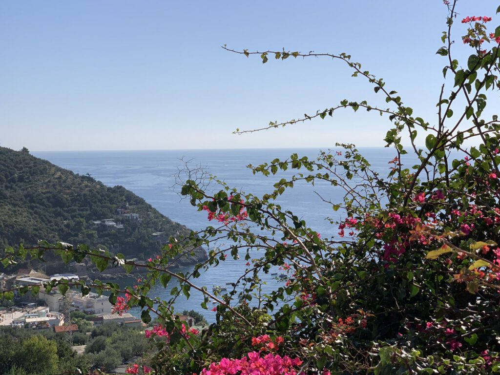 Villa Serena