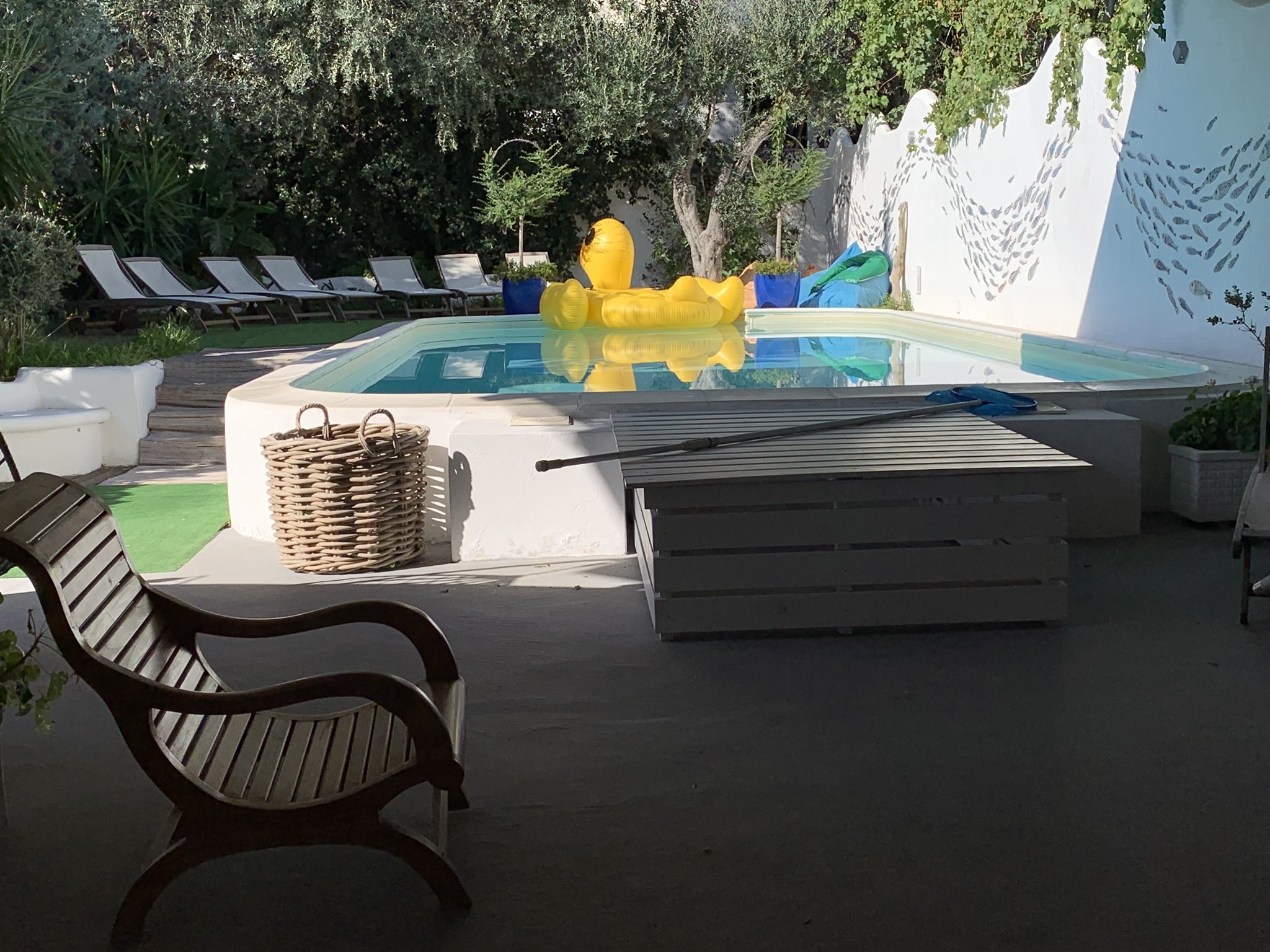 Villa Serena photo 34